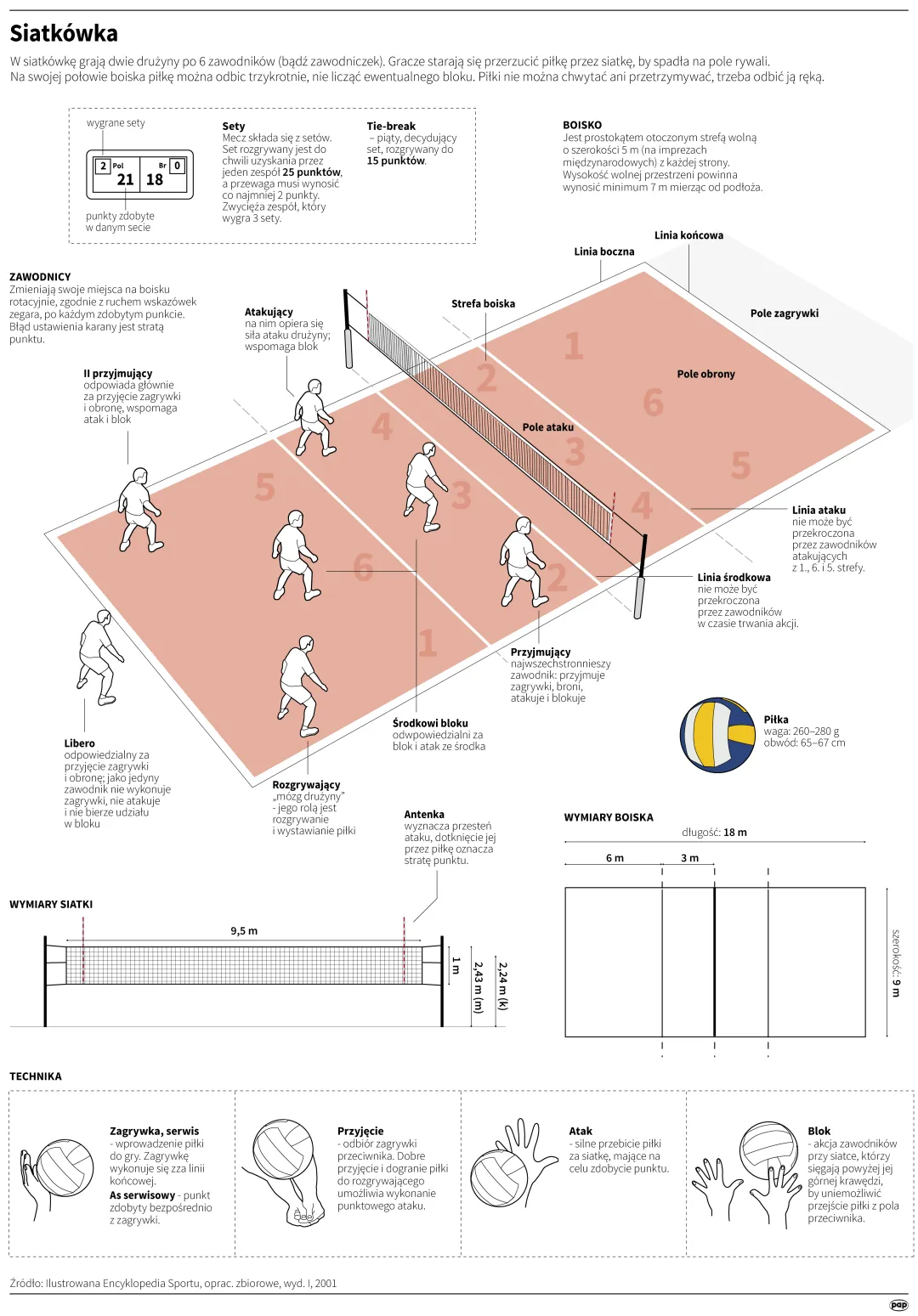 Siatkówka. Autor: PAP/Infografika/Maria Samczuk