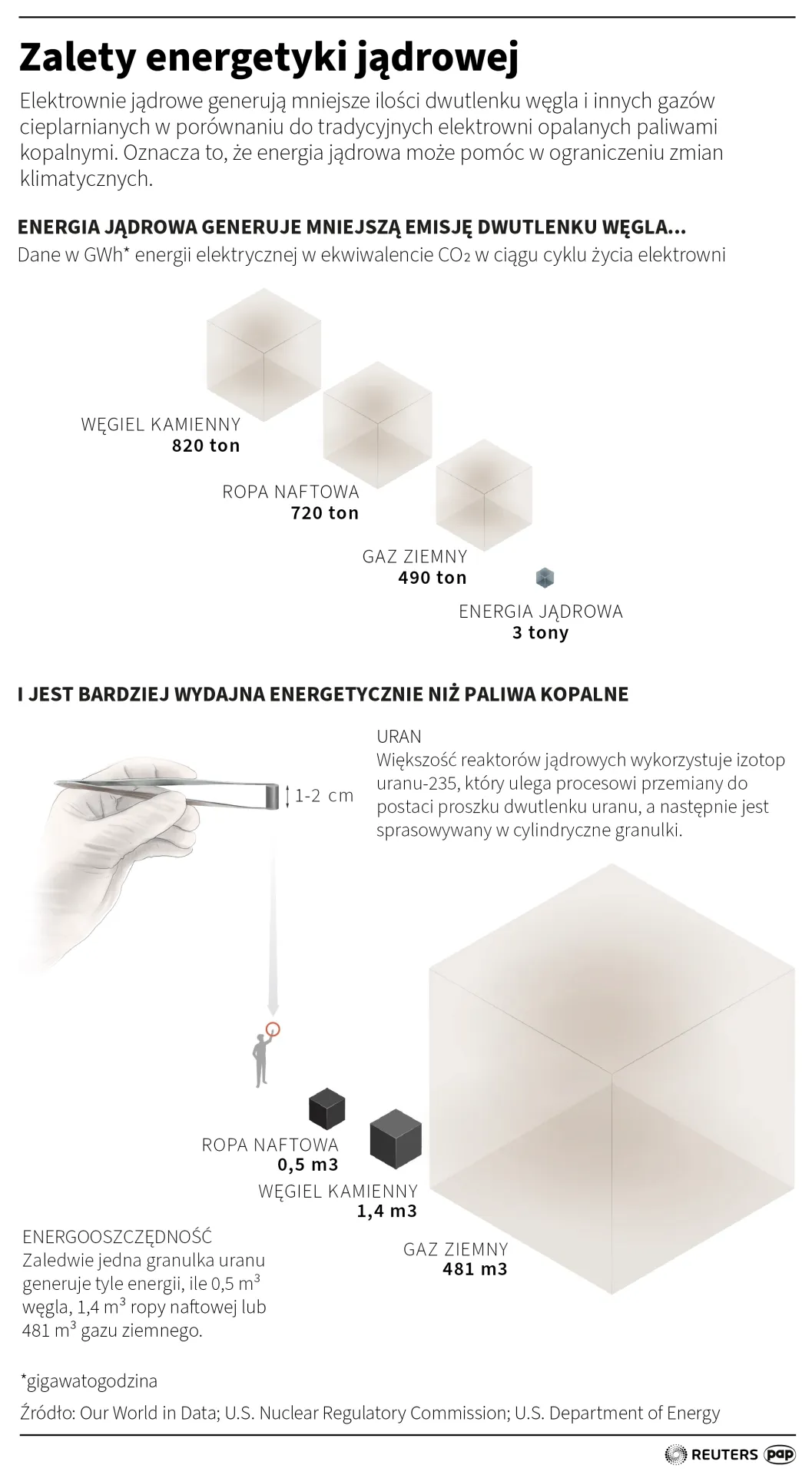 Zalety energetyki jądrowej. Autor: PAP/Infografika/Maria Samczuk