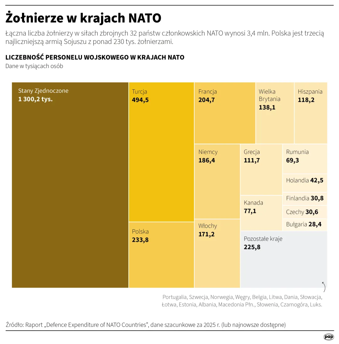 Żołnierze w krajach NATO. Autor: PAP/Infografika/Mateusz Krymski