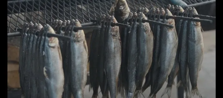 Kadr z filmu "Bałtyk". Fot. Studio Munka/SFP