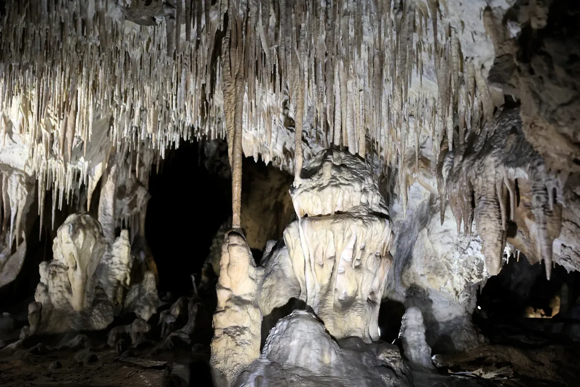 Wapienna jaskinia krasowa Raj w Chęcinach. Fot. PAP/Piotr Polak