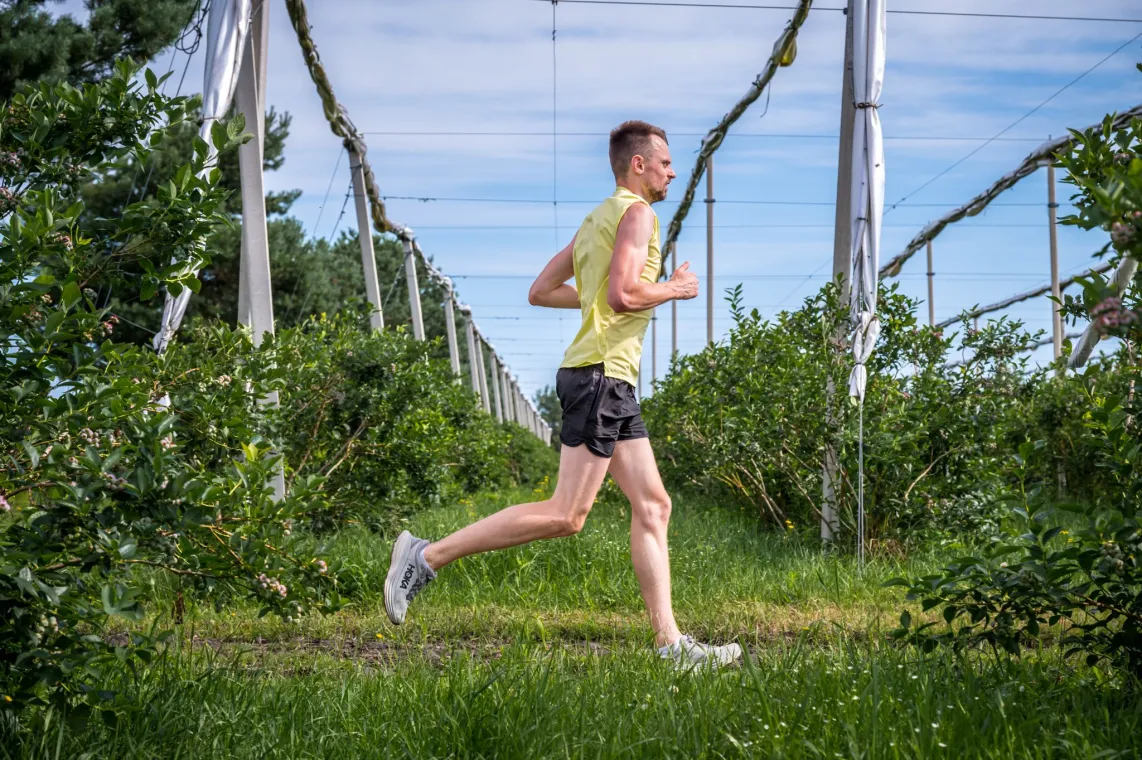 Fot. Krajowy Związek Grup Producentów Owoców i Warzyw/M. Stodolski (3)