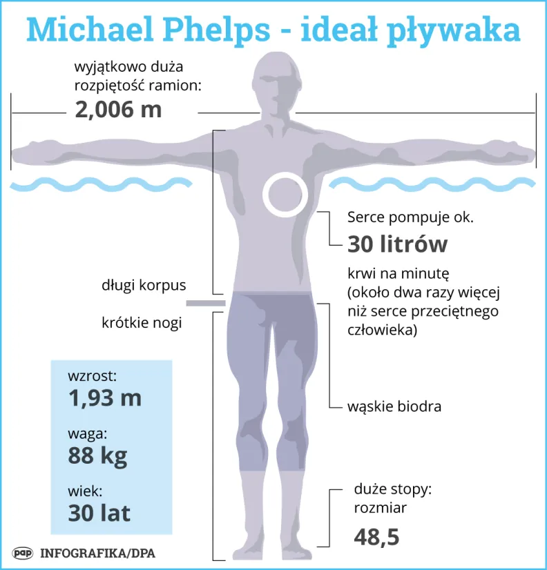 Michael Phelps - ideał pływaka. Autor: PAP/Infografika/ Adam Ziemienowicz