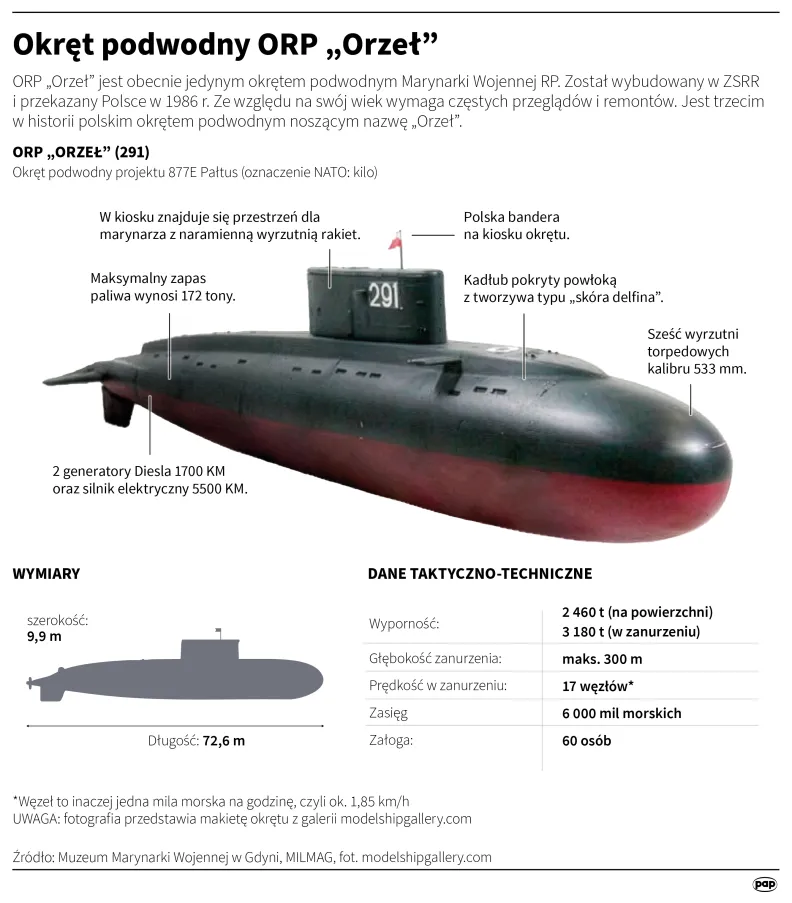 Autor PAP/Mateusz Krymski