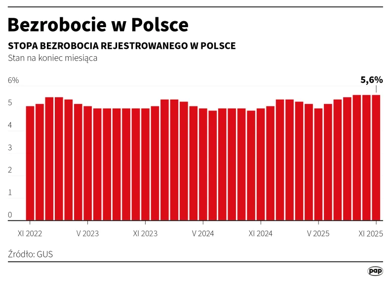 Autor: PAP/Mateusz Krymski