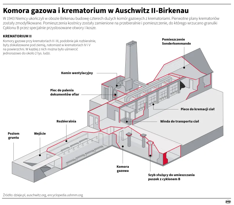 Komora gazowa i krematorium w Auschwitz II-Birkenau. Autor: PAP/Infografika/Adam Ziemienowicz