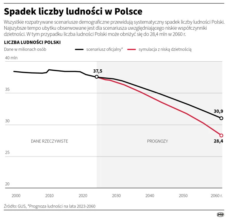 Autor: Adam Ziemienowicz/PAP