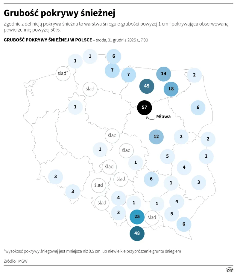 Autor: PAP/Mateusz Krymski