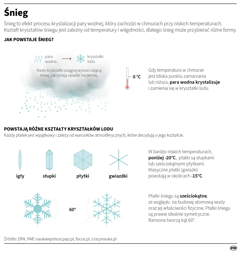 Autor: PAP/Adam Ziemienowicz