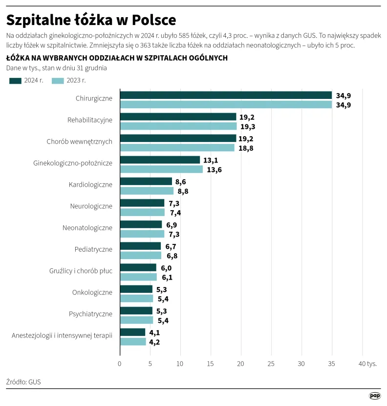Autor: Adam Ziemienowicz/PAP