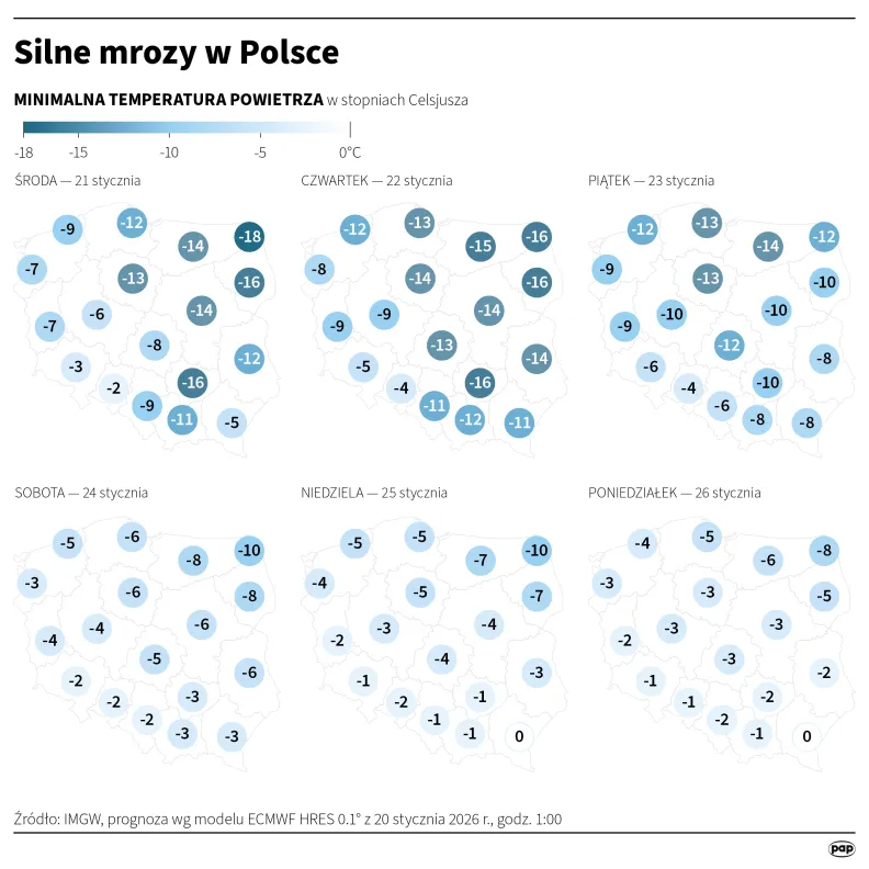 Silne mrozy w Polsce. Autor: PAP/Infografika/Michał Czernek