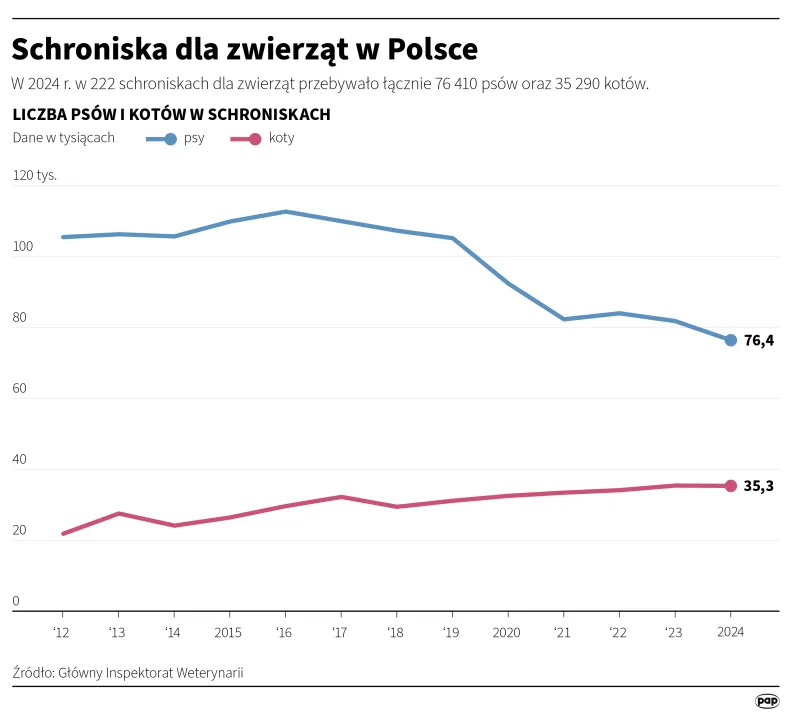 Schroniska dla zwierząt w Polsce. Autor: PAP/Infografika/Michał Czernek