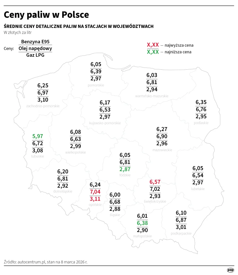 Ceny paliw w Polsce. Autor: Michał Czernek