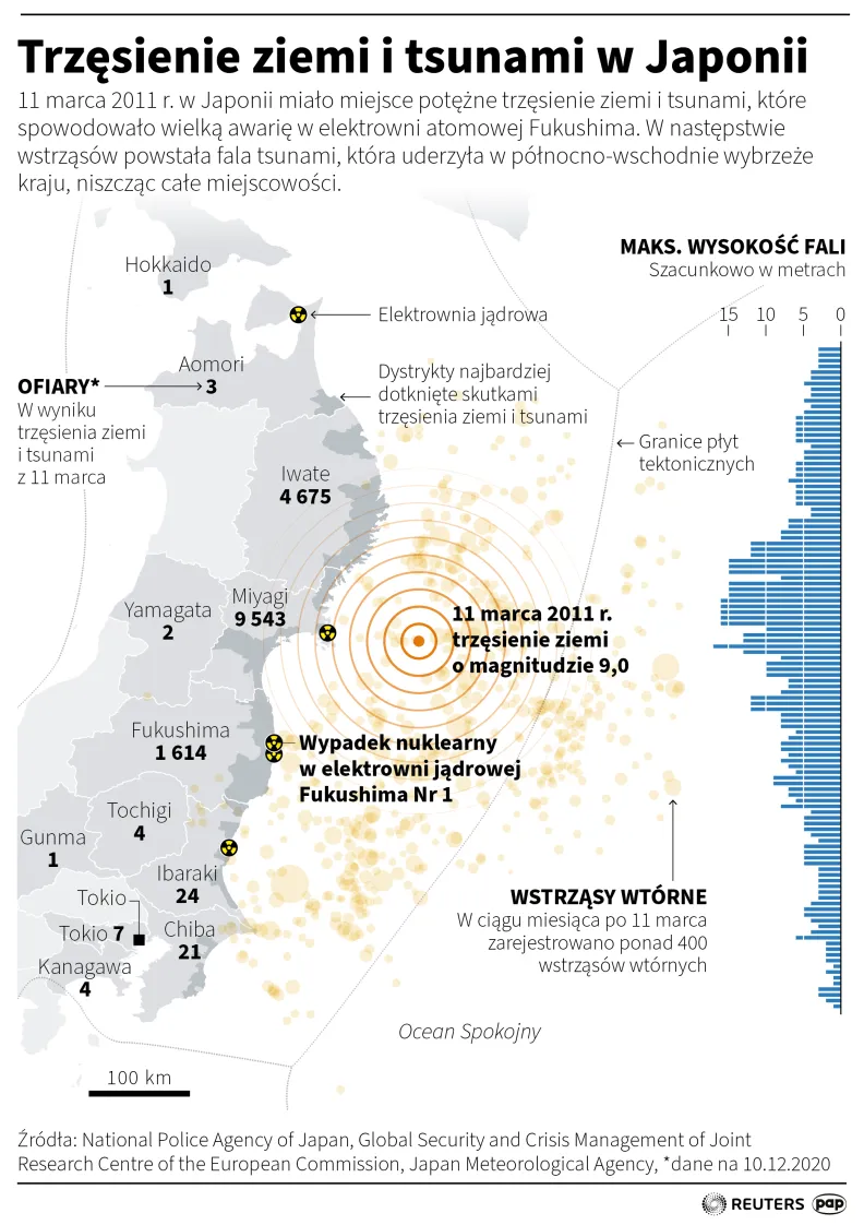 Trzęsienie ziemi i tsunami w Japonii. Autor: PAP/Infografika/Adam Ziemienowicz