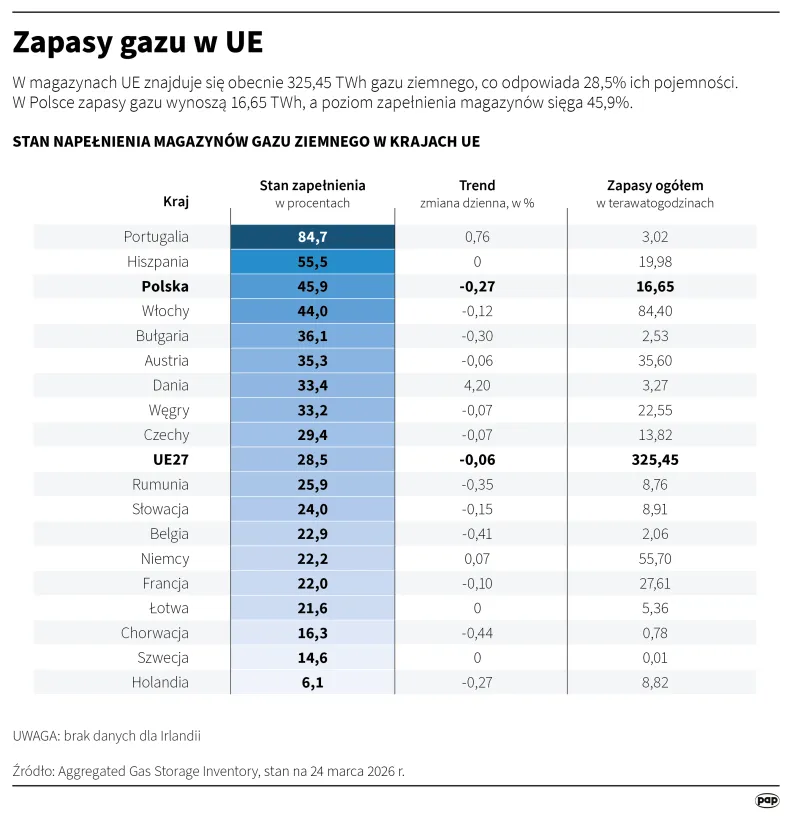 Autor: PAP/Mateusz Krymski