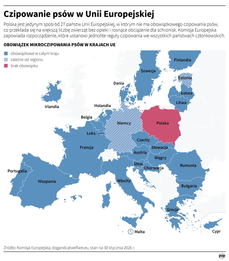 Autor: PAP/Mateusz Krymski