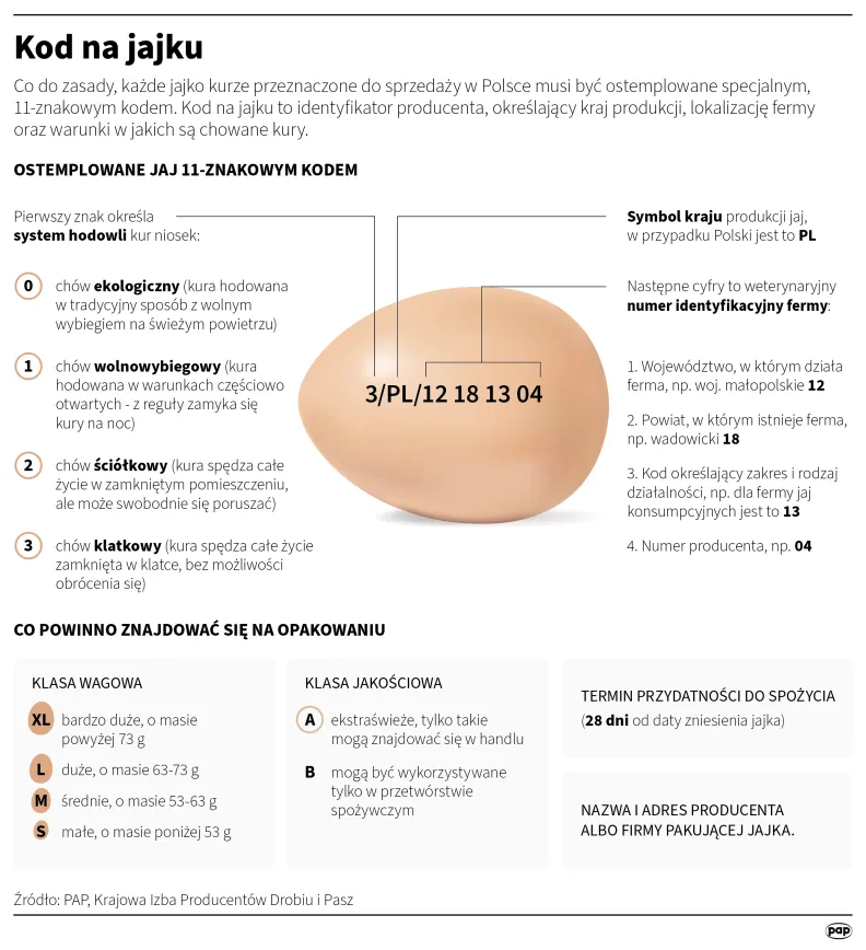 Kod na jajku. Autor: Adam Ziemienowicz
