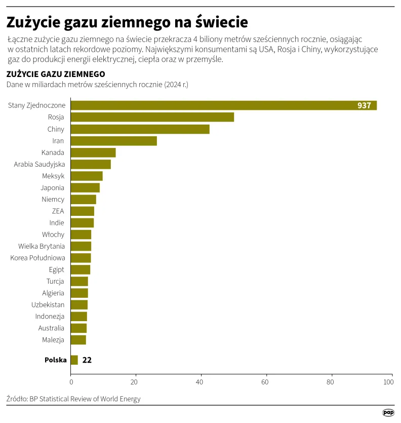 Autor: PAP/Adam Ziemienowicz