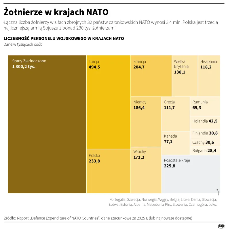 Żołnierze w krajach NATO. Autor: PAP/Infografika/Mateusz Krymski