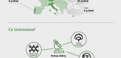 Komisja Europejska DG GROW (1)