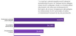 Wizaż.pl (3)