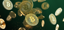 Cashify (3)