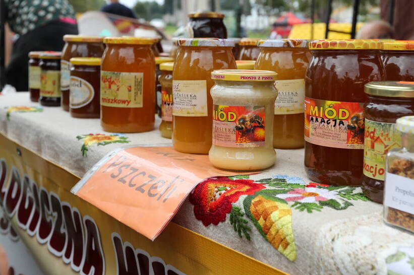 Wroclaw.  The scientist is going to investigate the falsification of honey and establish a way to check its composition