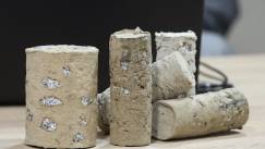 Fot. PAP - Ł. Gągulski (3)