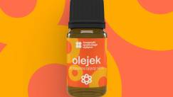 Fundacja Wielogłosu (3)