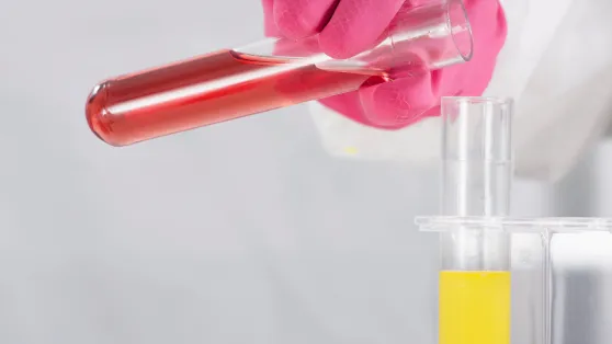 Już wkrótce rusza 9. Śląski Festiwal Nauki Katowice. Fot. Adobe Stock/ oporkka