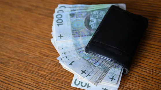 Portfel z pieniędzmi Fot. PAP/Marcin Bielecki