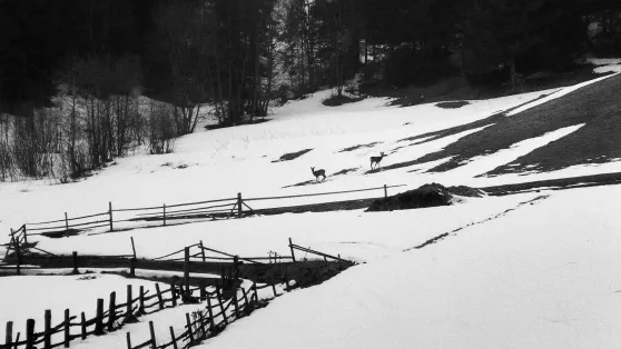 Kotlina Podhalańska - zdjęcie ilustracyjne Fot. PAP/Afa Pixx/Zenon Żyburtowicz