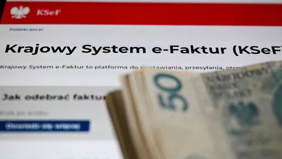 KSeF (zdjęcie ilustracyjne). Fot. PAP/Darek Delmanowicz