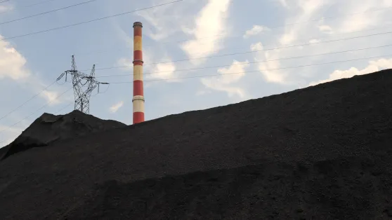 Zdjęcie ilustracyjne Fot. PAP/Afa Pixx/Zenon Żyburtowicz