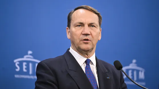 Міністр закордонних справ Радослав Сікорський. Fot. PAP/Radek Pietruszka