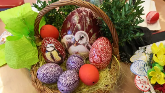 Tydzień w Klubie Samorządowym PAP