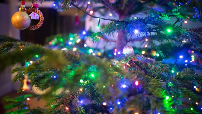 Świąteczna choinka. Fot. PAP/Andrzej Lange