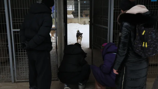  Akcja zabierania psów ze schroniska dla zwierząt "Happy Dog" w miejscowości Sobolew Fot. PAP/Paweł Supernak