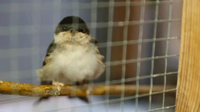 PAP/Leszek Szymański