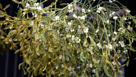  Archiwum Fot. PAP © 2018 / Darek Delmanowicz