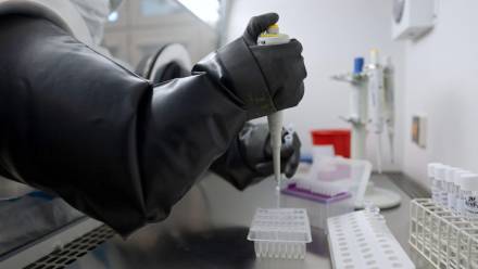 Fot. PAP/Andrzej Grygiel