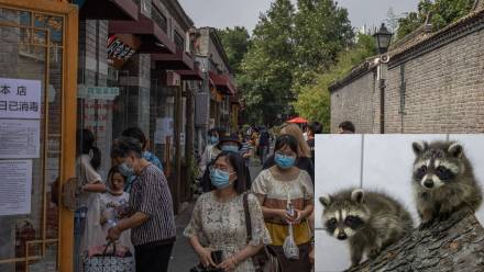 Fot. ROMAN PILIPEY, Maciej Kulczyński PAP/EPA