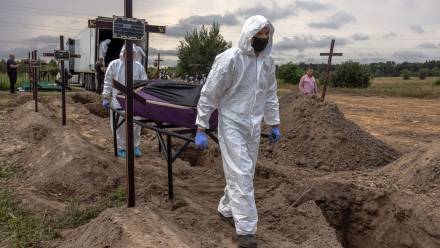 Bucza. Fot. ROMAN PILIPEY PAP/EPA