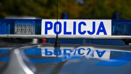 Fot. PAP/Darek Delmanowicz