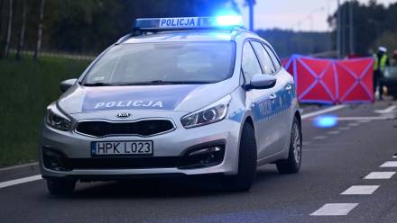 Na krajowej 2 w miejscowości Ryczołek pod Kałuszynem (Mazowieckie) doszło do czołowego zderzenia toyoty i mercedesa. Fot. PAP/Darek Delmanowicz (zdjęcie ilustracyjne)