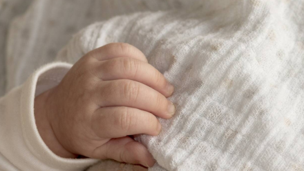 Niemowlę. Fot. Pixabay (zdjęcie ilustracyjne)