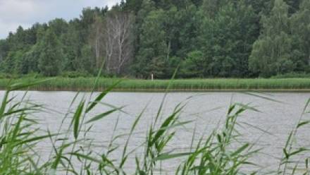 Granica polsko-rosyjska na jeziorze Gołdap Fot. Straż Graniczna