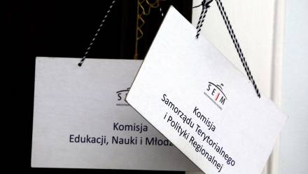 Sejmowe komisje, Fot. PAP/Tomasz Gzell
