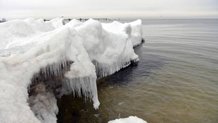 Skuty lodem brzeg Bałtyku Fot. PAP/Marcin Bielecki