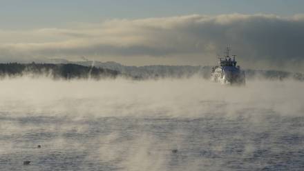 Fala mrozu nad Oslo, Fot. PAP/NTB/Haakon Mosvold Larsen